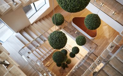 What Are Some Challenges in Implementing Biophilic Design?