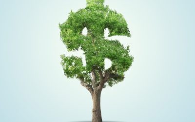 Is Biophilic Design Expensive?