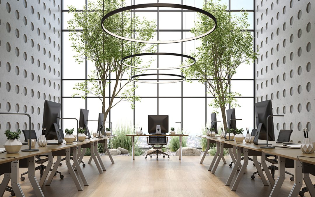Why is Biophilic Design Important for Businesses?