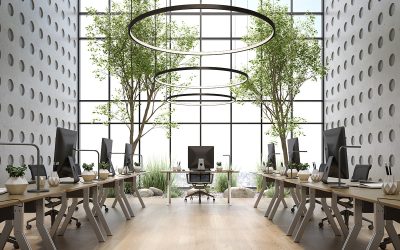 Why is Biophilic Design Important for Businesses?