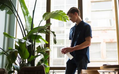 Do Plants in Biophilic Design Require Maintenance?