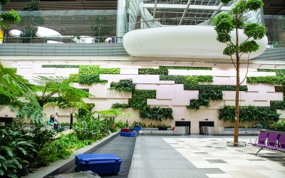 What is Biophilic Design?